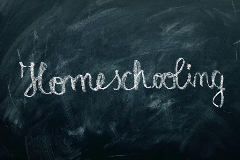 Online-Angebote fürs Homeschooling