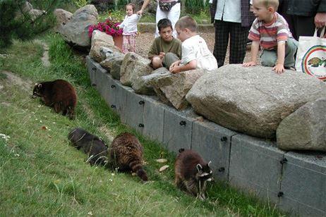 "Arche Noah"-Zoo
