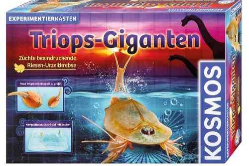 Experimentierkasten: Triops-Giganten