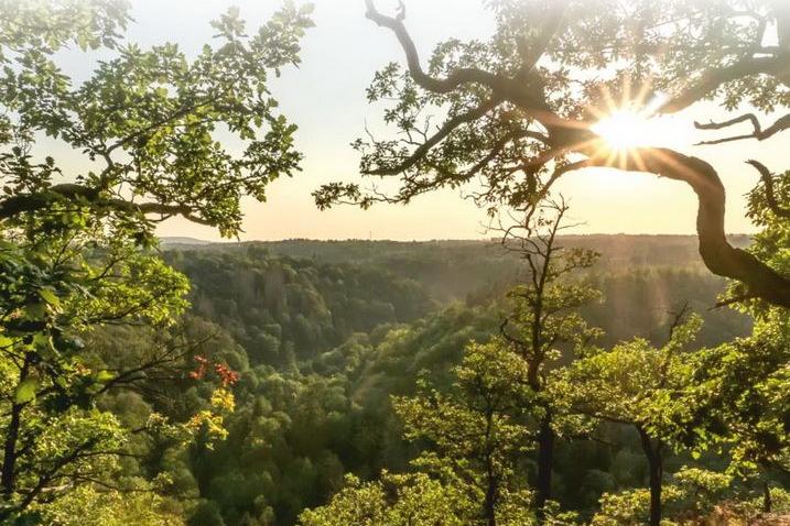 Eröffnung der Wandersaison mit der Harzer Wandernadel