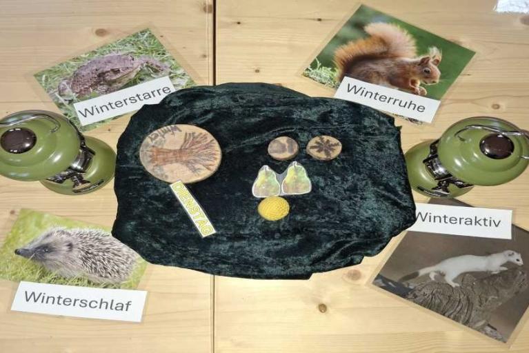 Spuren im Schnee Winterzeit bei den Waldfüchsen