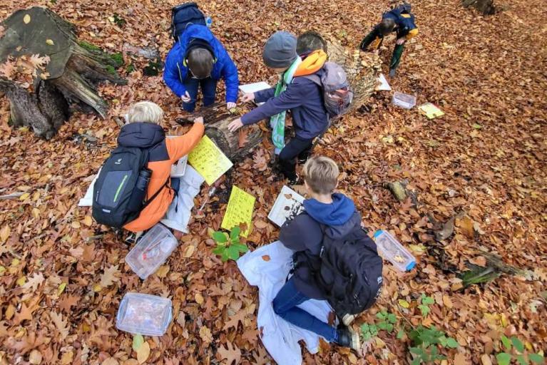 Osterferienprogramme im OTTER-ZENTRUM