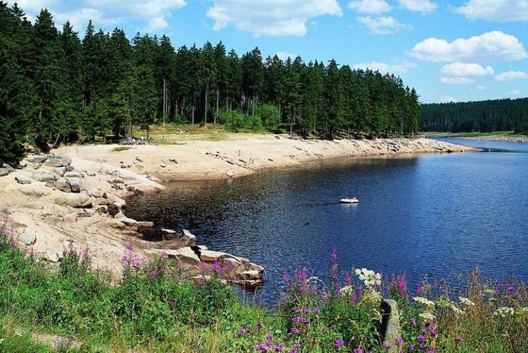 Frühling im Harz