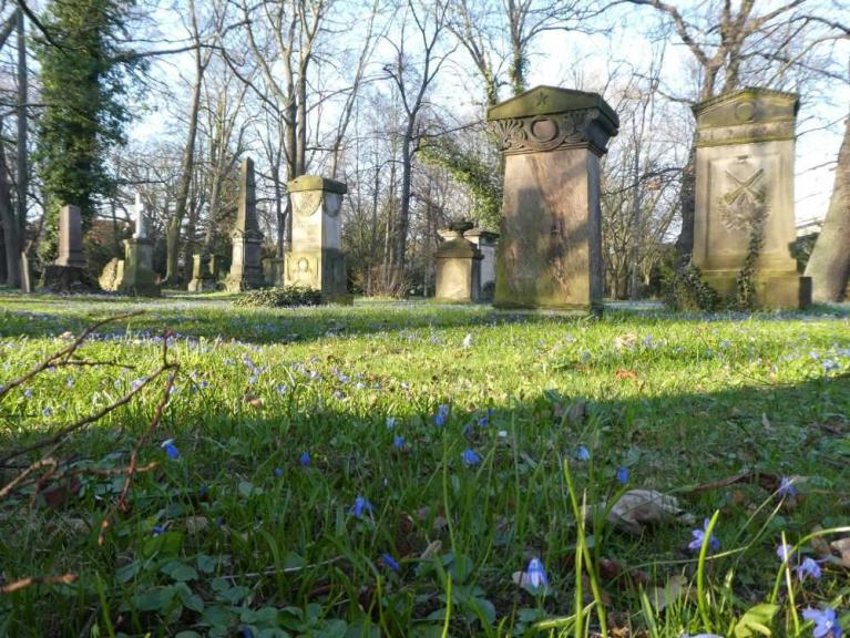 Dom- und Magnifriedhof