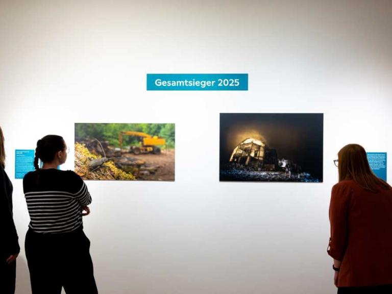 Gewnnerbilder
