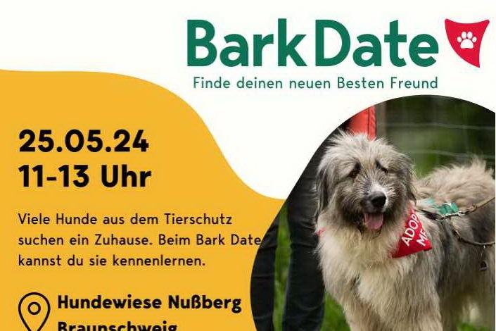 Bark-Date! Tierschutzhunde in Braunschweig