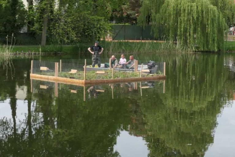 Schwimmende Inseln für den Stadtgraben