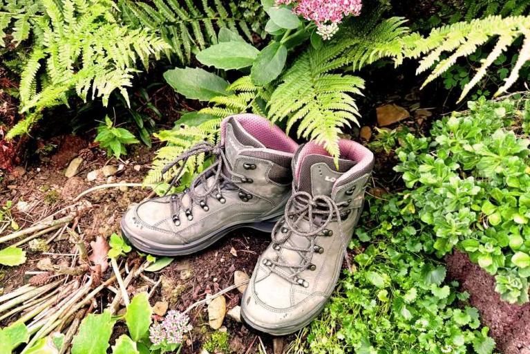 Neue Wanderführung „Geschichte trifft Natur“ in Goslar