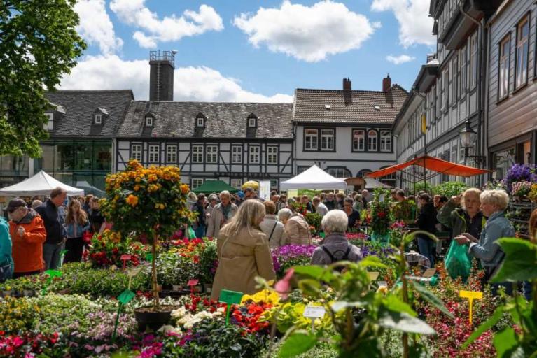 Goslarer Gartenmarkt