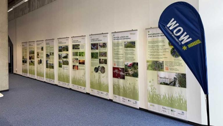 Ausstellung