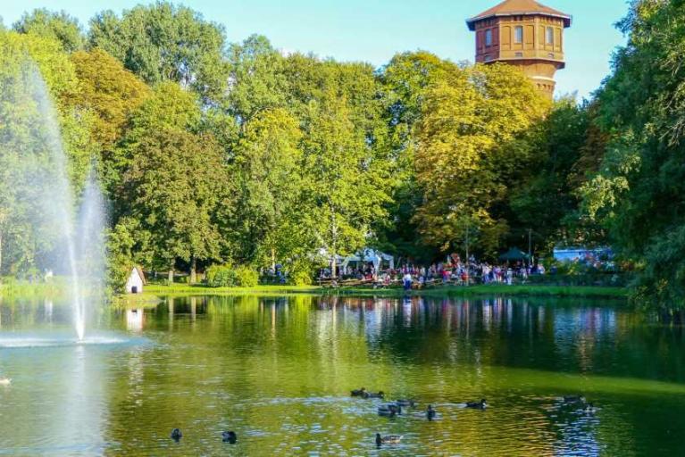 Enten füttern? Keine gute Idee!