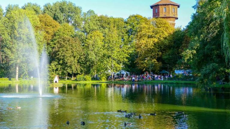 Enten