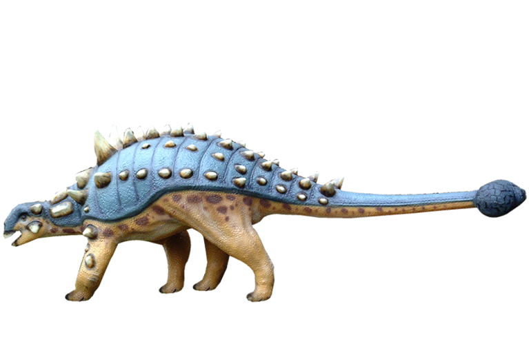 Euoplocephalus 