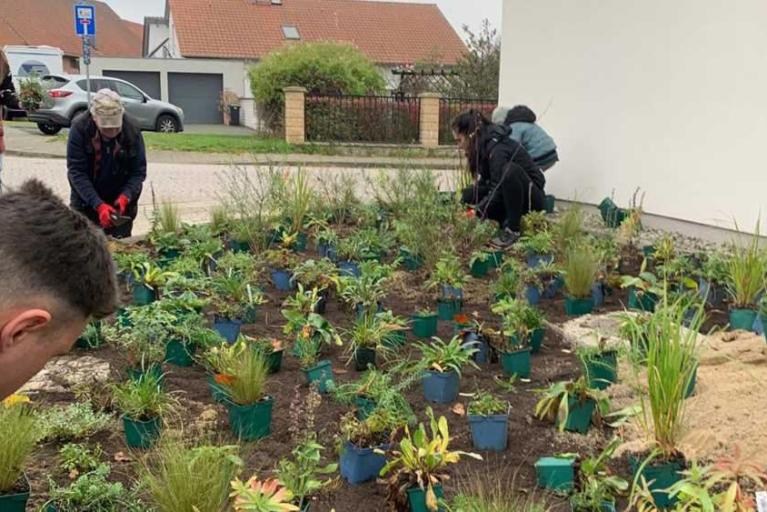 Aus Pflaster wird Lebensraum