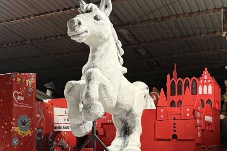 Kamelle vom Motivwagen zum Tag der Niedersachsen