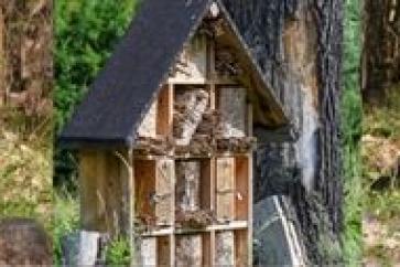 Wildbienen-Aktionstag im Haus Entenfang