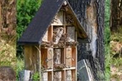 Wildbienen-Aktionstag im Haus Entenfang