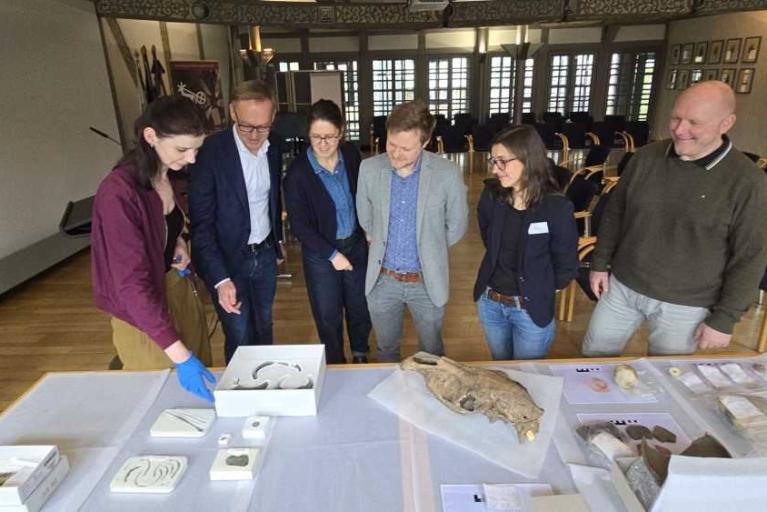 Bernstein aus dem Niemandsland?