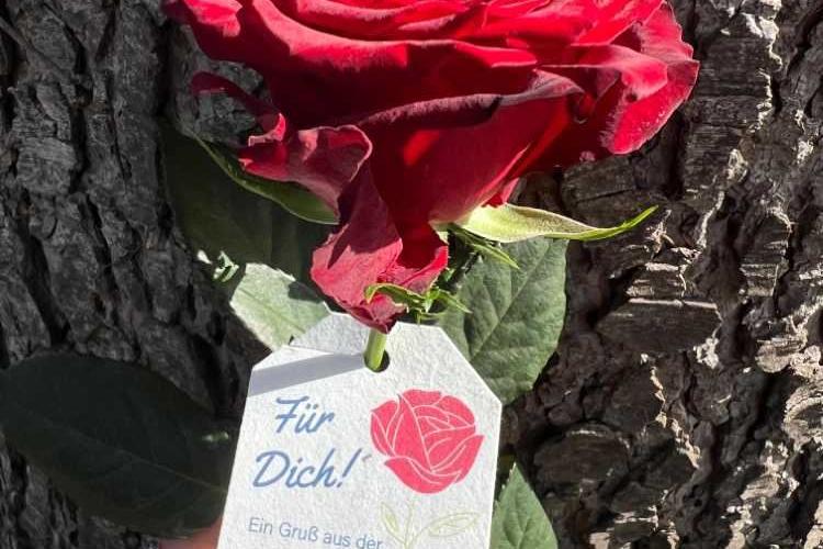 Musik, Geschichten und ein Zeichen der Solidarität