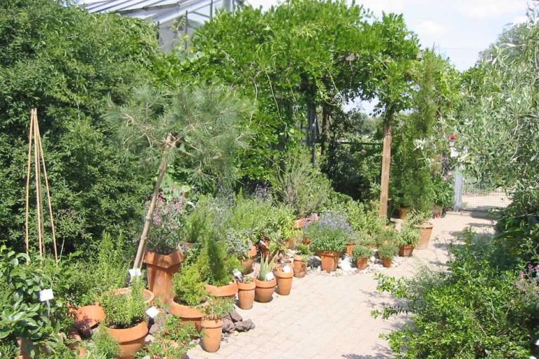 Tag der offenen Tür im Arzneipflanzengarten