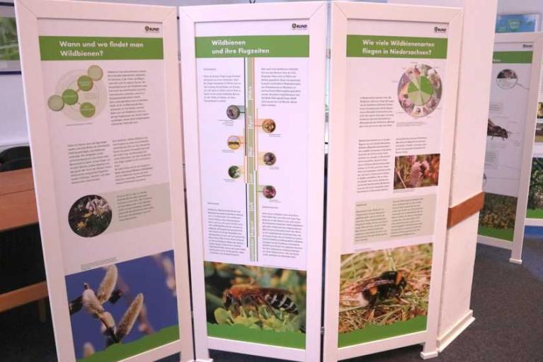 Wanderausstellung „Wildbienen fliegen auf Niedersachsen“