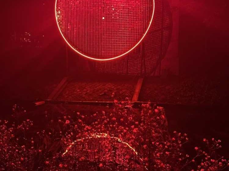 Licht