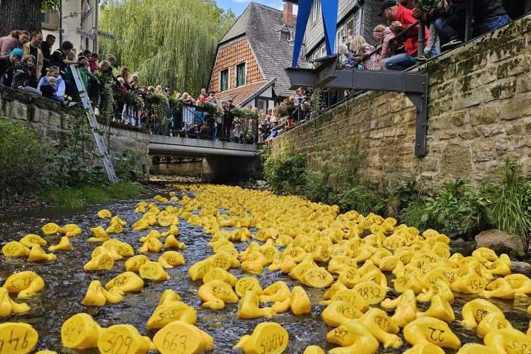Entenrennen Goslar