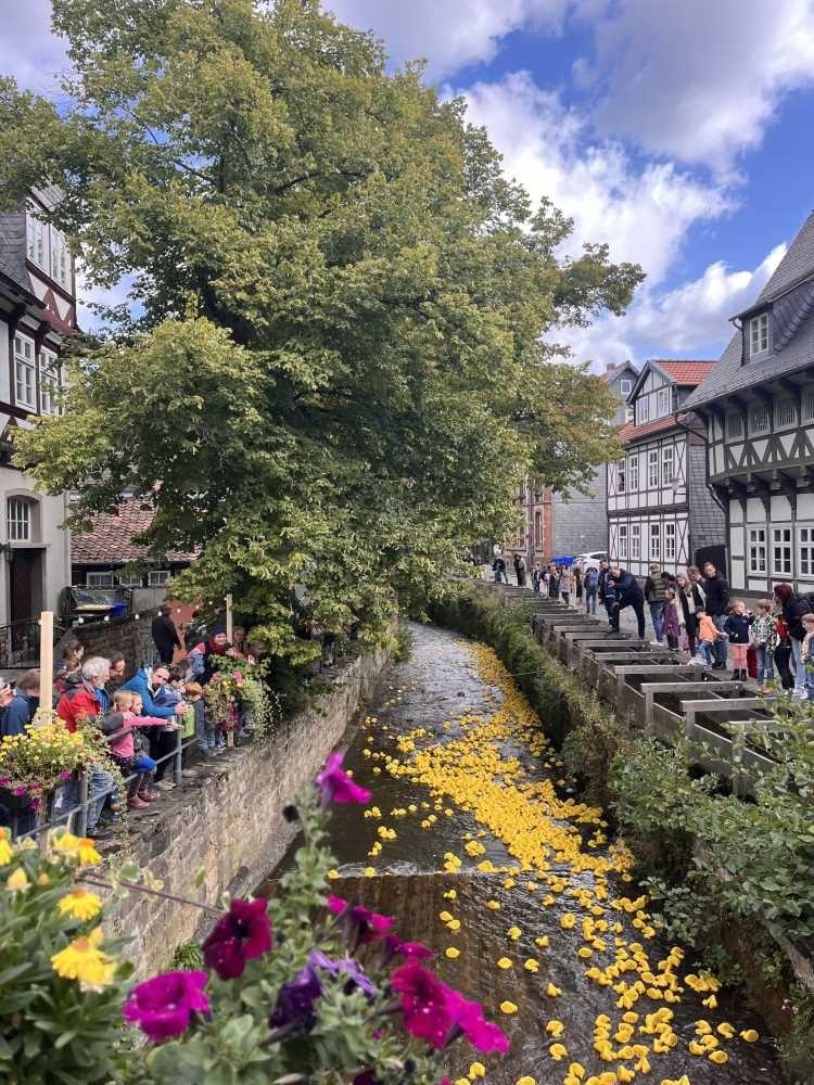 Entenrennen