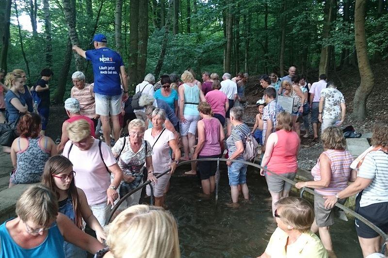 Erholung im grünen Salzgitter Bad.