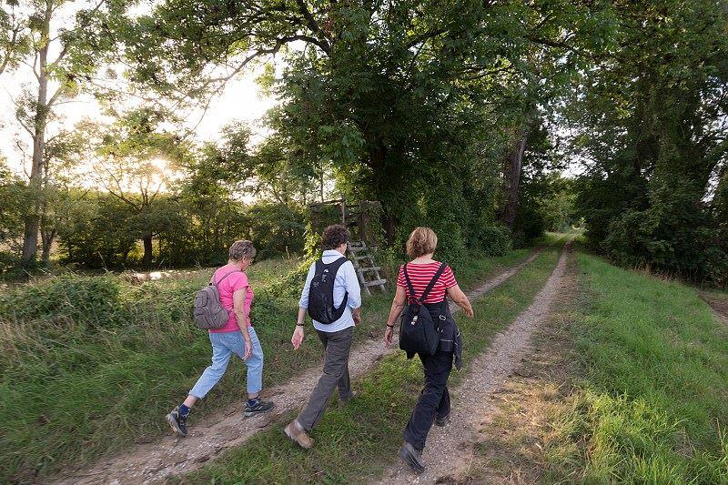 "Des Wandern ist des...."