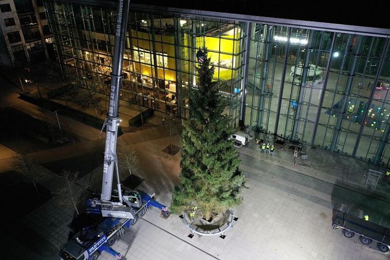 XXL-Weihnachtsbaum schmückt ab sofort die Autostadt