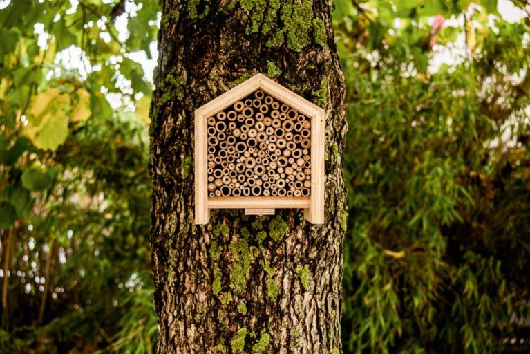 Jetzt in der Touristinfo: Bienenhotels für den eigenen Garten