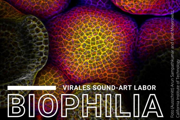 BIOPHILIA - ein virales Soundart-Labor
