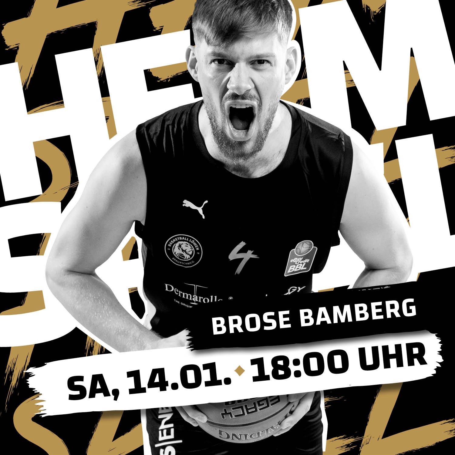 brose bamberg live