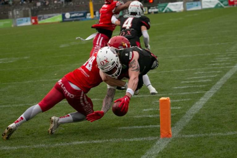 Lions unterliegen hart umkämpftes Halbfinale in Potsdam