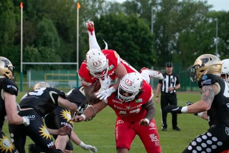 Lions eine Hausnummer zu groß für die Paderborn Dolphins
