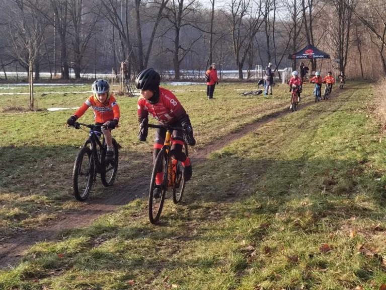 Mehrere Kinder fahren mit Mountainbikes auf einem schmalen Waldweg