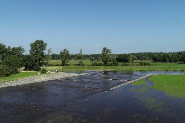 Naturnahe Entwicklung der Mittelaller