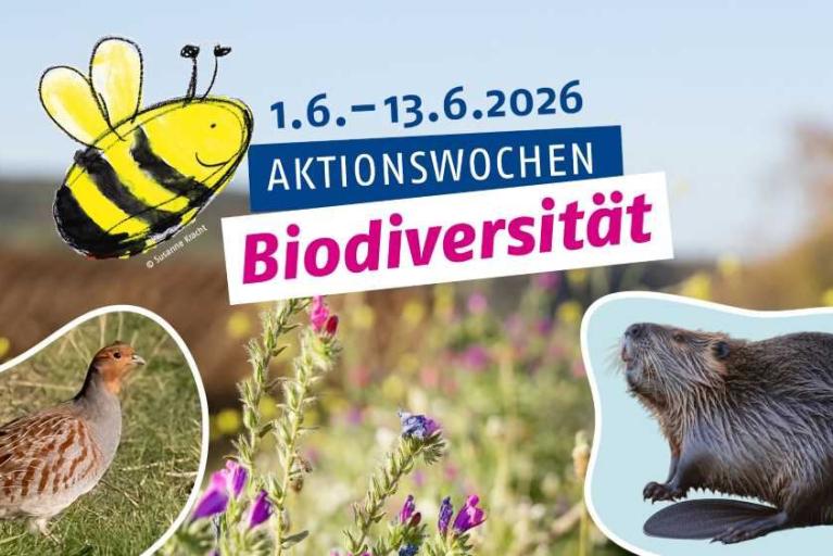 „Aktionswochen Biodiversität“ im Wissensort Wolfenbüttel