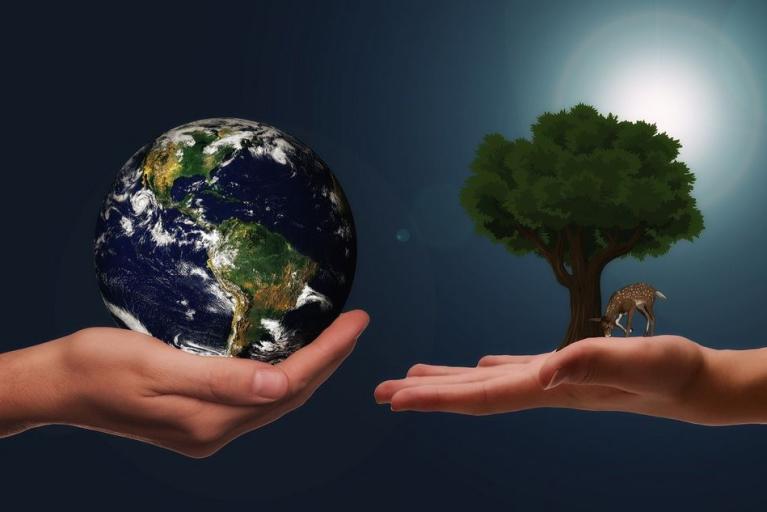 Braunschweig bewirbt sich für EU-Klimaförderprogramm