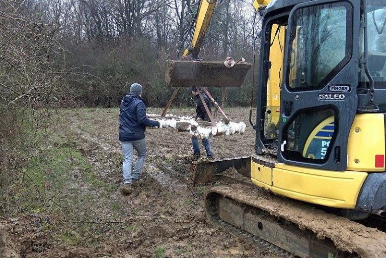 Neues Forscherglück in Hondelage