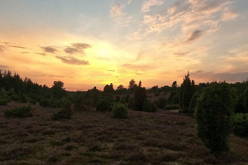 Sonnenuntergang Ellerndorfer Heide