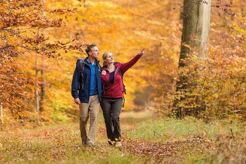 Foto: Lüneburger Heide GmbH 