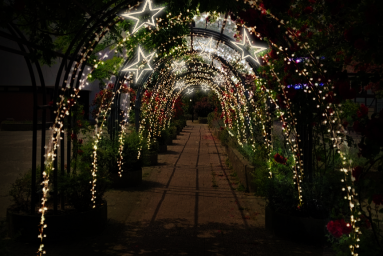 Weihnachtstreff und Lichterzauber im Rosengarten