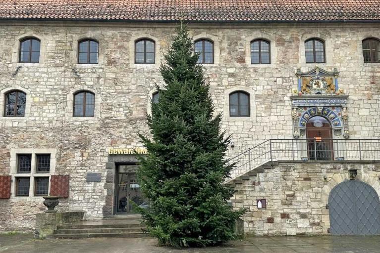 Große Nordmanntannen schmücken die Innenstadt