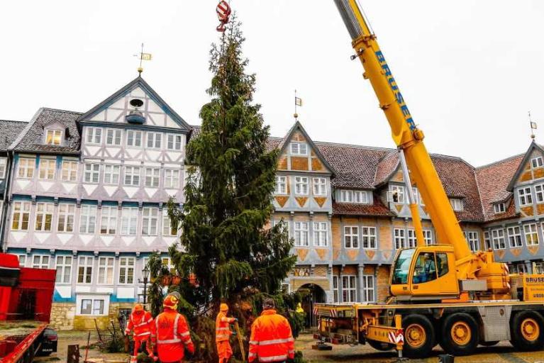 62. Friedenstanne in Wolfenbüttel angekommen