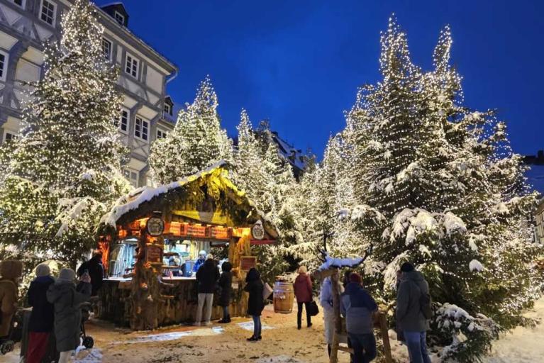 Weihnachtsmarkt & Weihnachtswald in Goslar