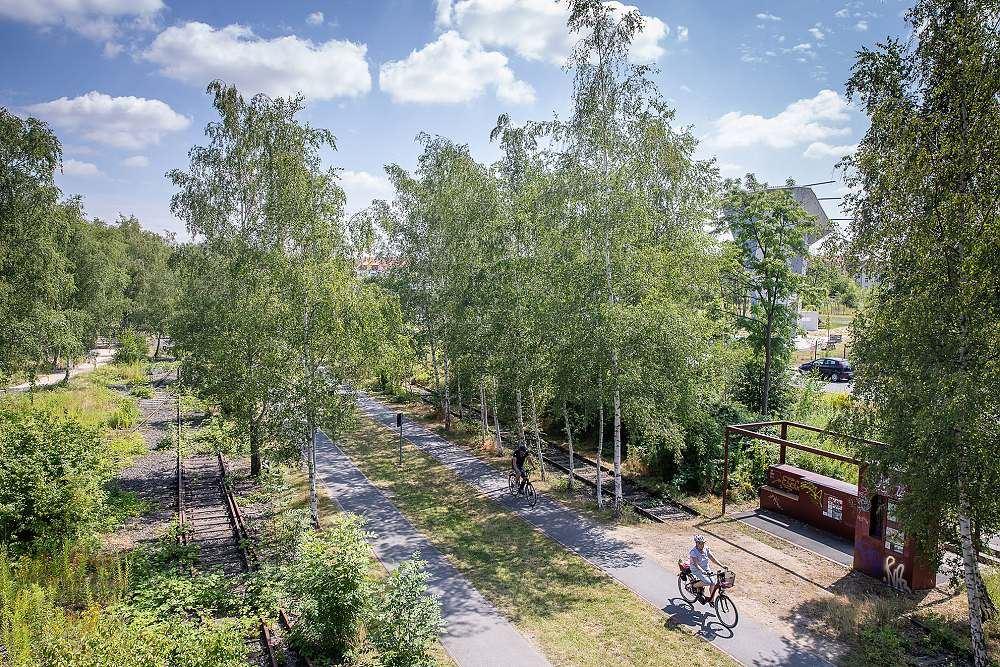 Foto: Braunschweig Stadtmarketing GmbH/Philipp Ziebart